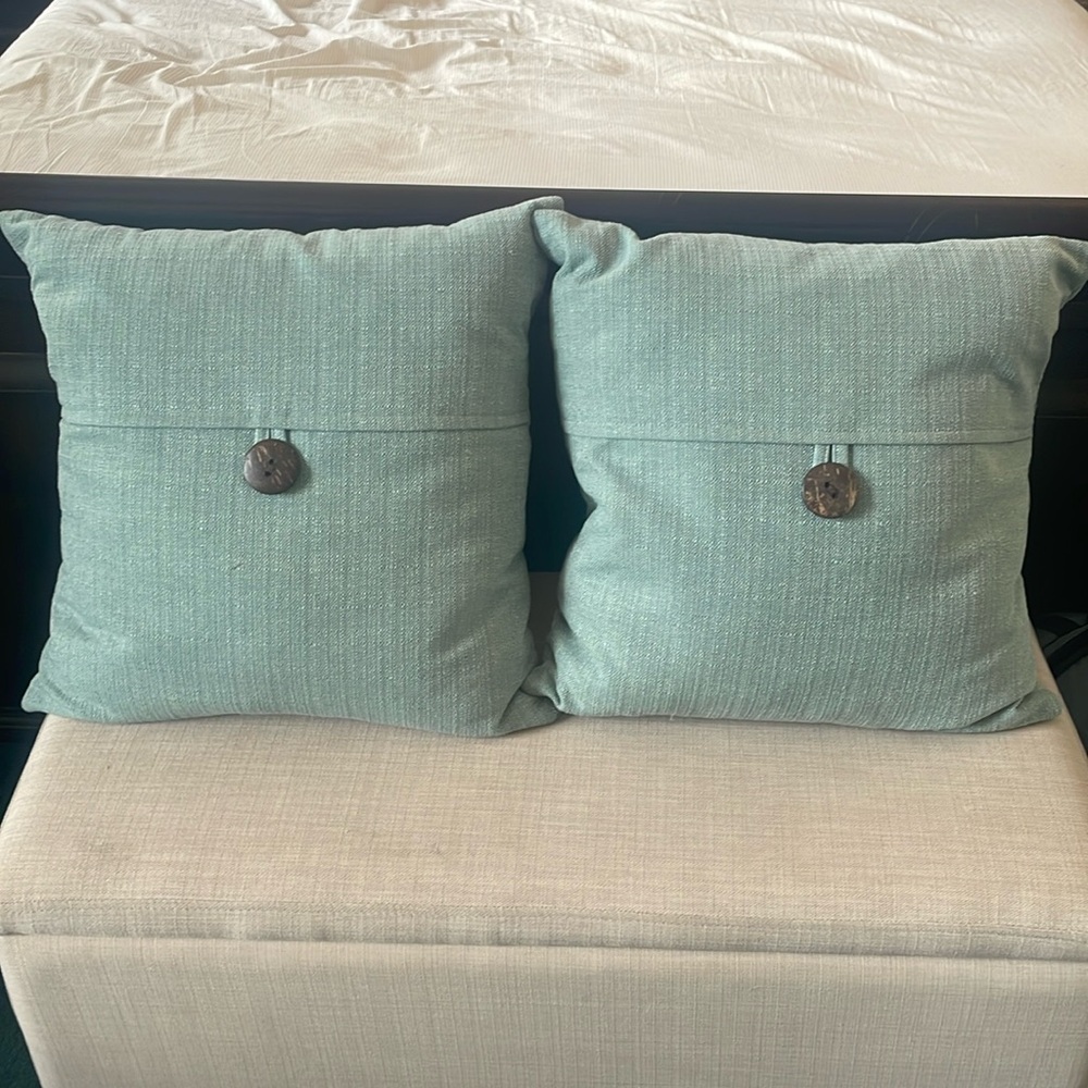 Set of 2 Decorative Pillow